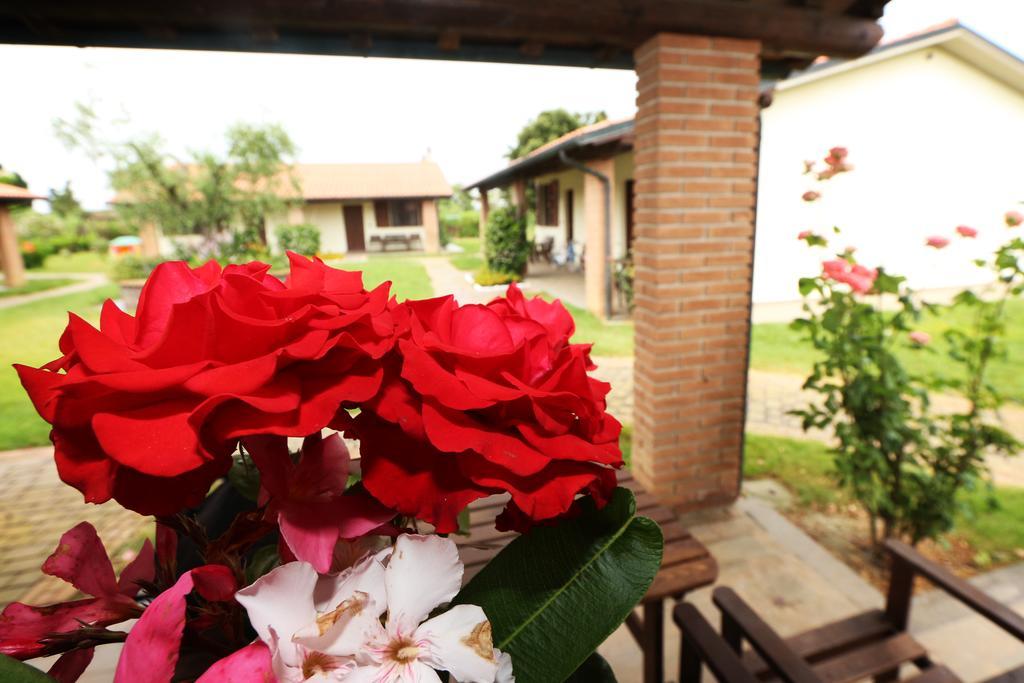 Agriturismo Gli Etruschi Populonia Cameră foto