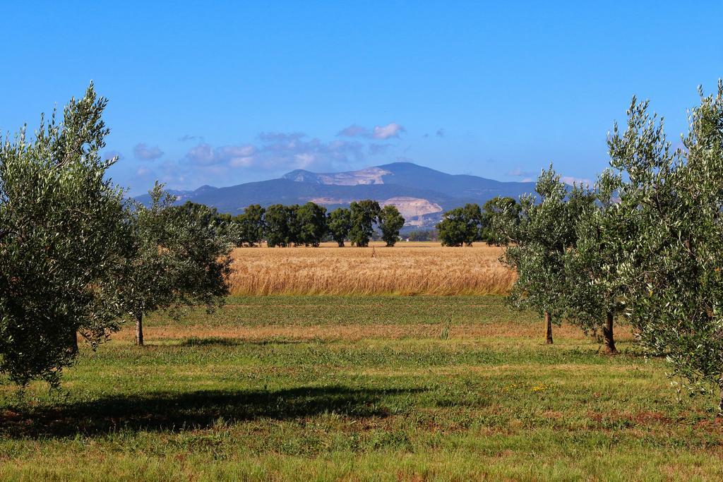 Agriturismo Gli Etruschi Populonia Exterior foto